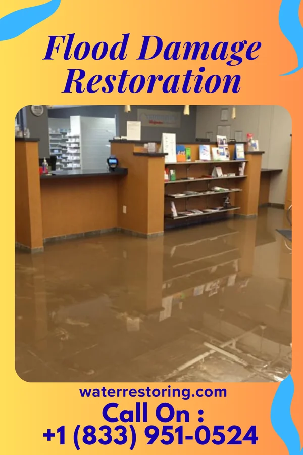 Flood Damage Restoration in Eddington, PA